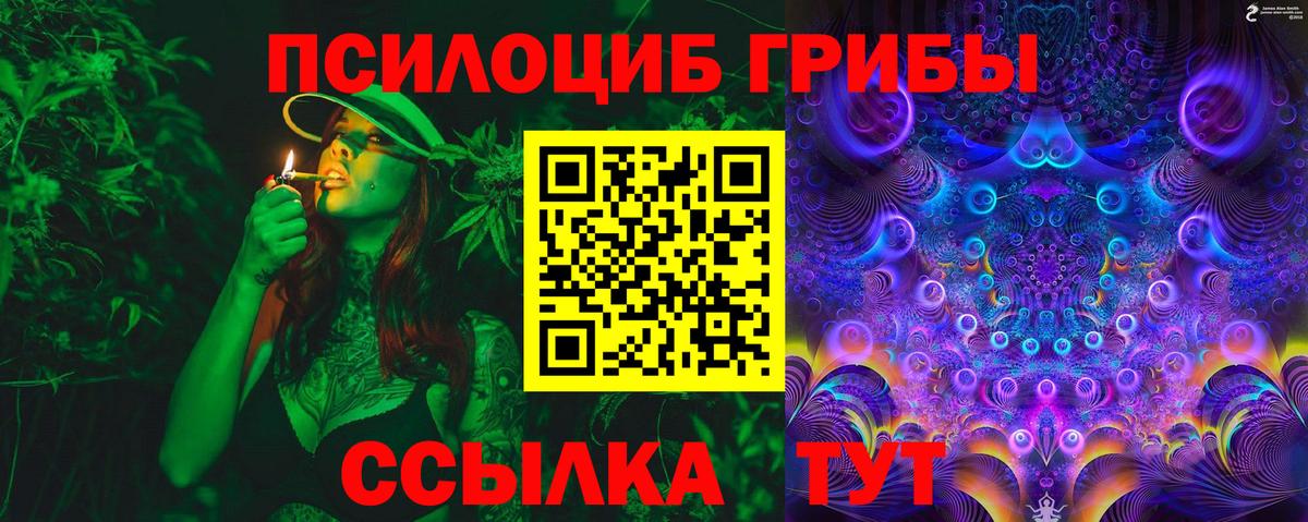 Россошь  Галлюциногенные грибы Psilocybine cubensis  Вход с VPN 