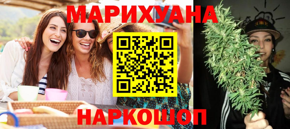 Канабис сатива Россошь